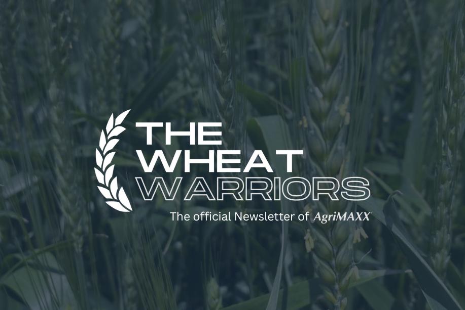 Warm Temperatures Accelerate Development & Wheat Fungicide at Bloom Timing