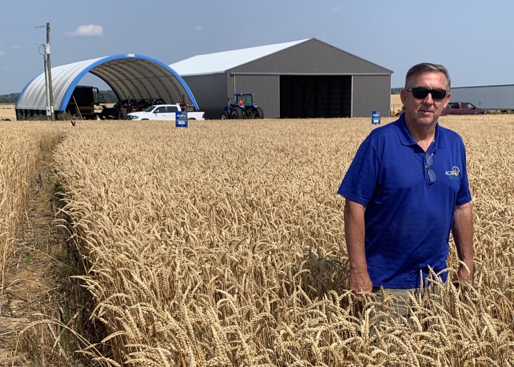 David_west_wheat