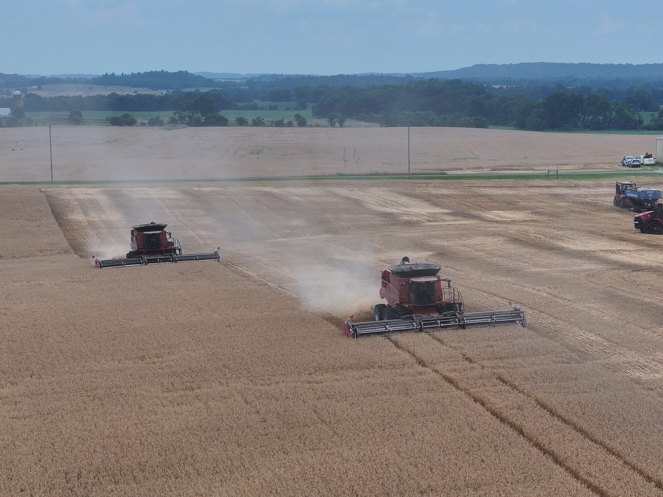 Wheat that Proves Itself
